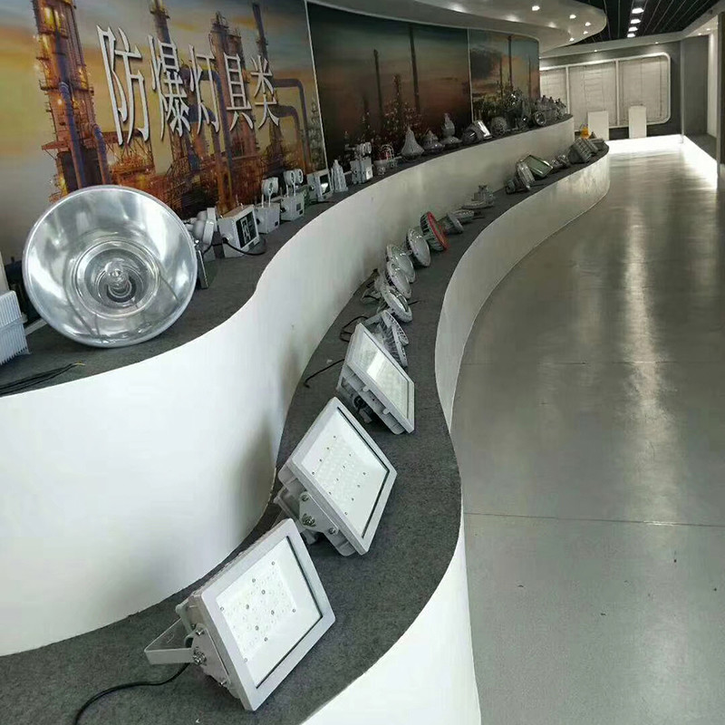 LED防爆灯 (15)