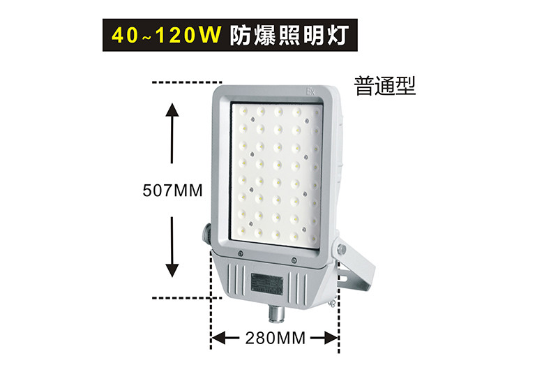 黄片免费在线观看视频 XQL8103LED防爆灯I型