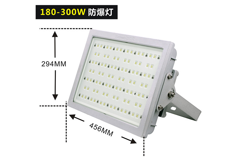黄免费无遮挡白丝粉逼 XQD8100LED防爆灯III型