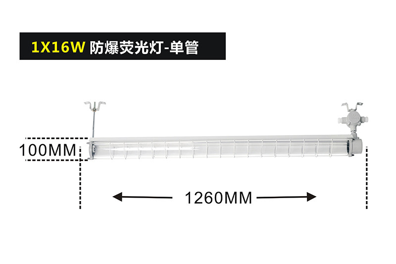 黄片免费在线观看视频 BPY51系列单管防爆荧光灯（IIB、DIP）I型