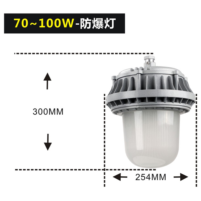 黄片免费在线观看视频 XQL9822LED防爆灯III型玻璃罩